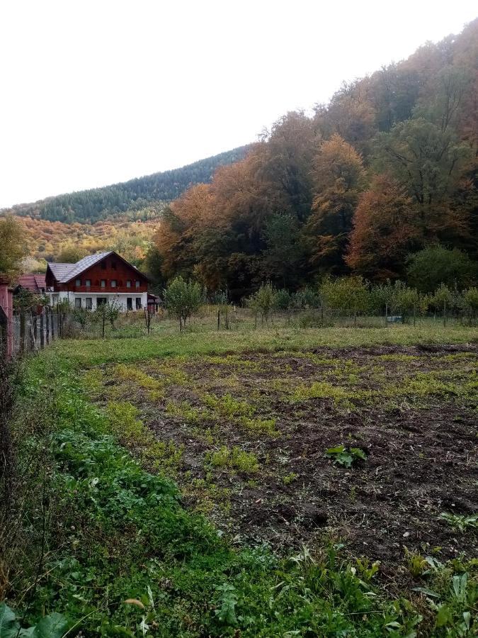 Gasthof Livada Amely 3*